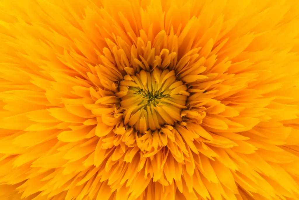 v2osk pQ7GIGO6esE unsplash 2 scaled 1