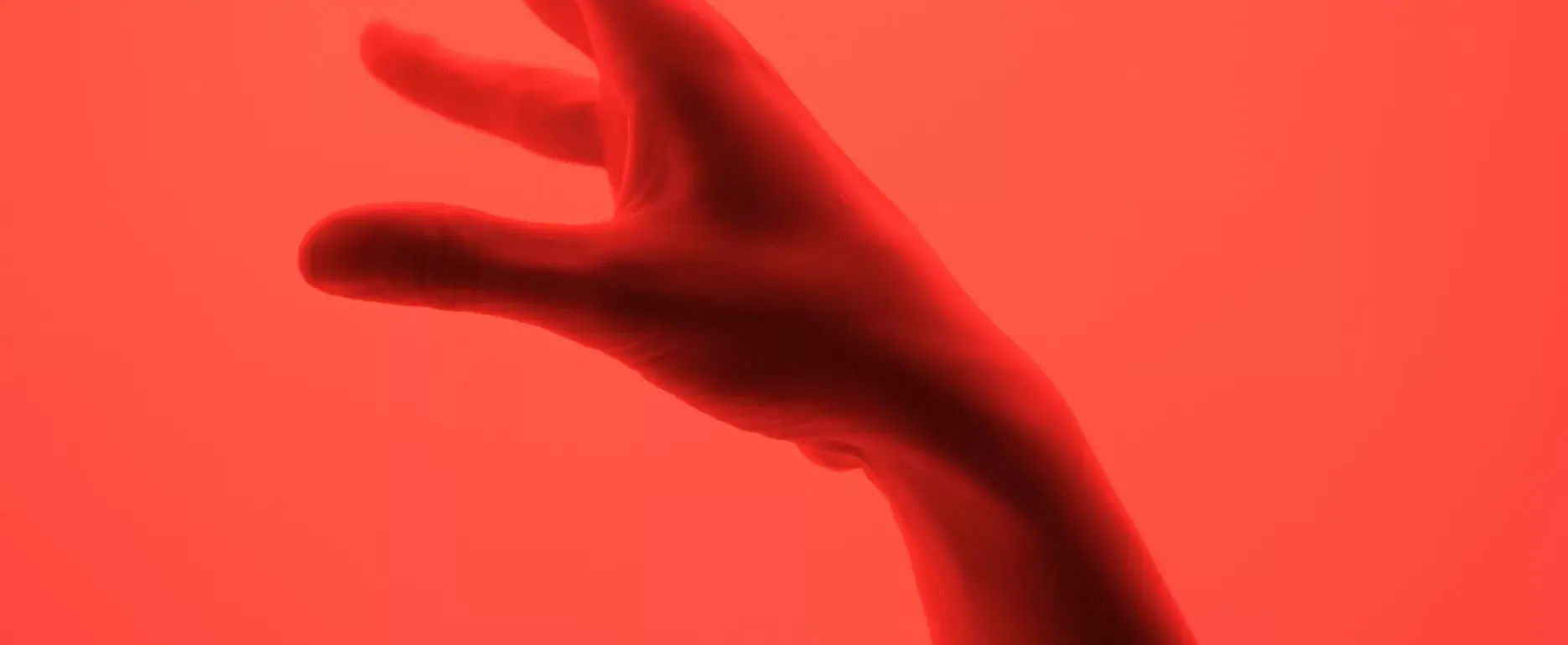 dynamic wang VcVo5kMIgtY unsplash scaled e1726022005585