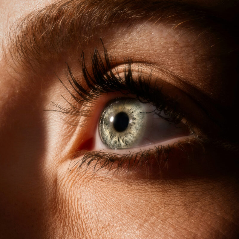 eye