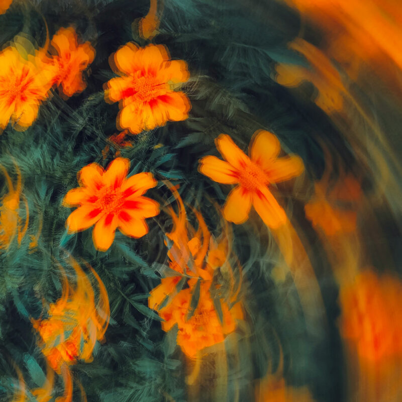 eugene golovesov VdQigv27QgY unsplash 1